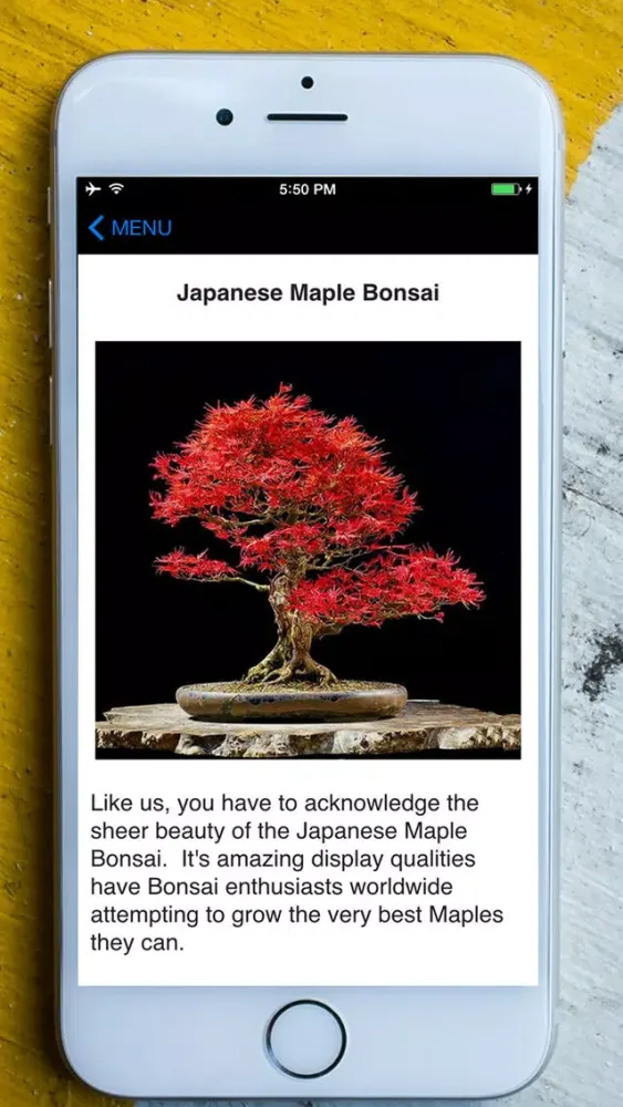 Easy Bonsai Tree For beginners - Best How To Grow Bonzai Plants Tips & Care Instruction UCC Videos, Start Today! Screenshots