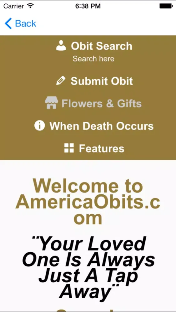 Zrzuty ekranu Child Victims of Guns Memorial App
