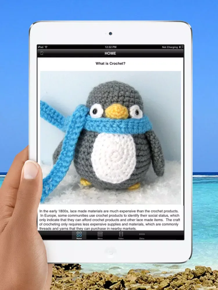 Learn Crochet For Life - Best Quick Guide & Tips For Beginners iPad  스크린샷
