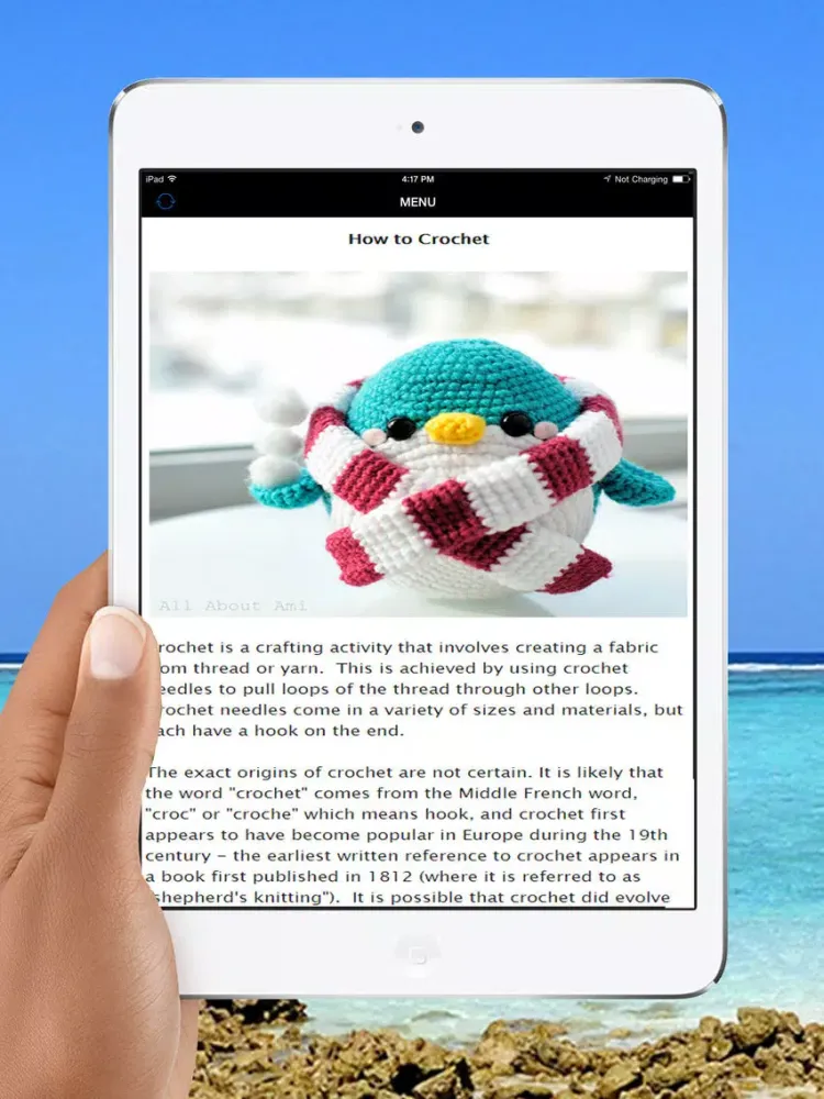 Learn Crochet For Life - Best Quick Guide & Tips For Beginners iPad  스크린샷
