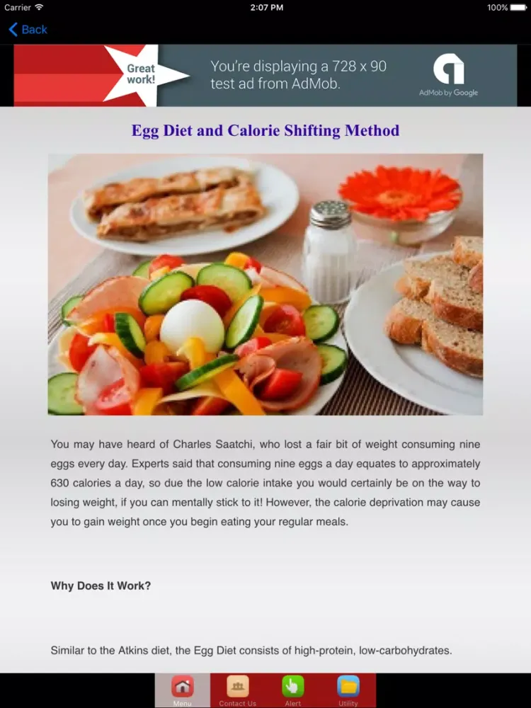 Tangkapan skrin Egg Diet For Weight Loss Plan iPad 