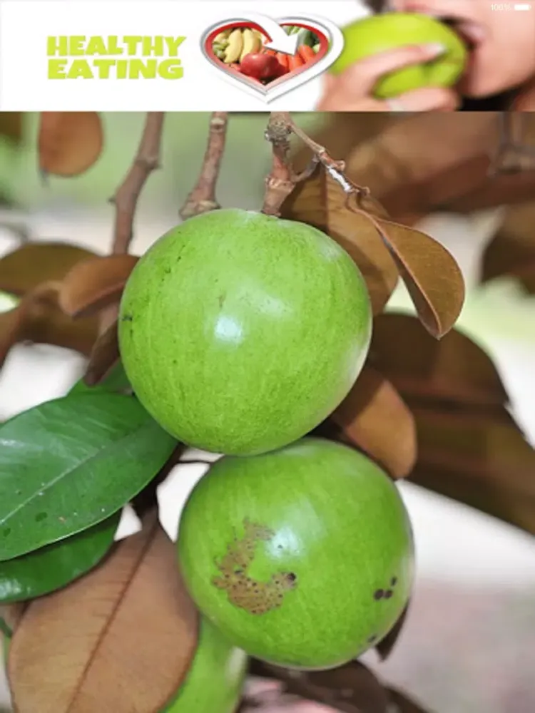Capturas de pantalla de Good Nutrition - Healthy Eating Guidelines iPad 