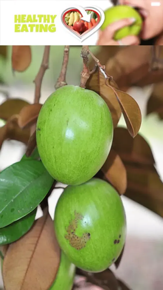 Capturas de pantalla de Good Nutrition - Healthy Eating Guidelines