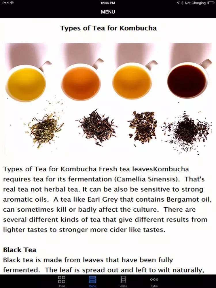 Easy Kombucha Tea - Best Guide To Start Kombucha Health Brewing For Beginners iPad  スクリーンショット