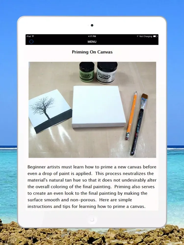 Learn How To Draw, Paint & Colours - Best Tips & Technique Guide of Paiting For Advanced & Beginners iPad 应用截图