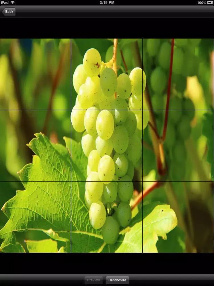 Capturas de tela do Free Fruits Jigsaw Puzzles iPad 