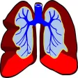 Mesothelioma Treatment & Mesothelioma Symptoms