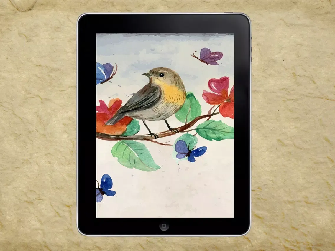 Pet Bird & Breeds - Foreign Birds iPad  スクリーンショット