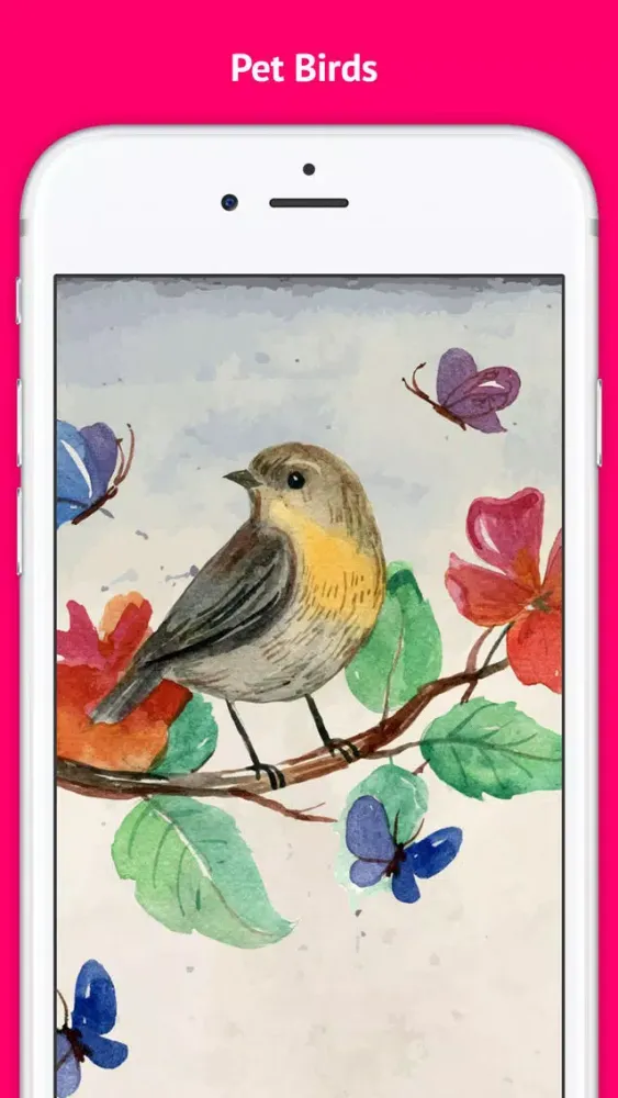 Pet Bird & Breeds - Foreign Birds スクリーンショット