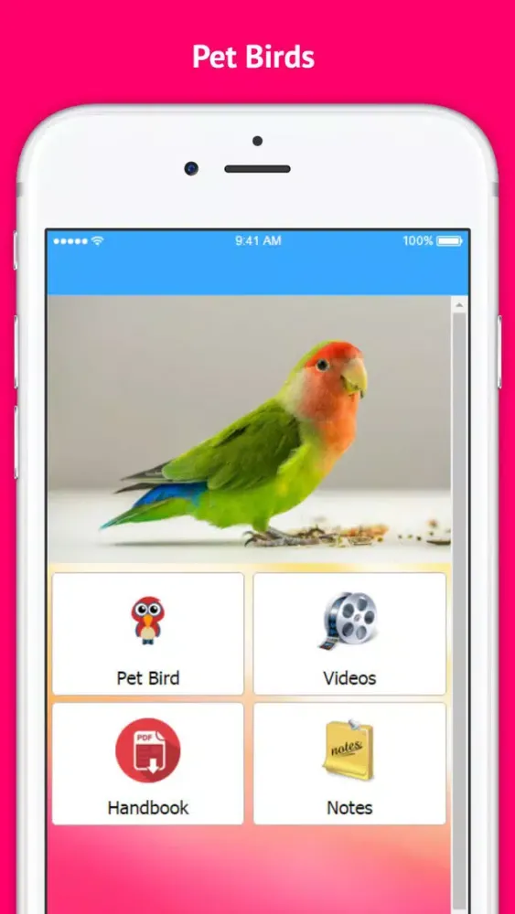 Pet Bird & Breeds - Foreign Birds スクリーンショット