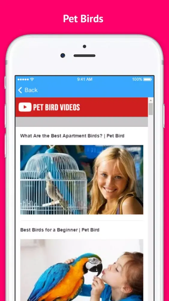 Pet Bird & Breeds - Foreign Birds スクリーンショット
