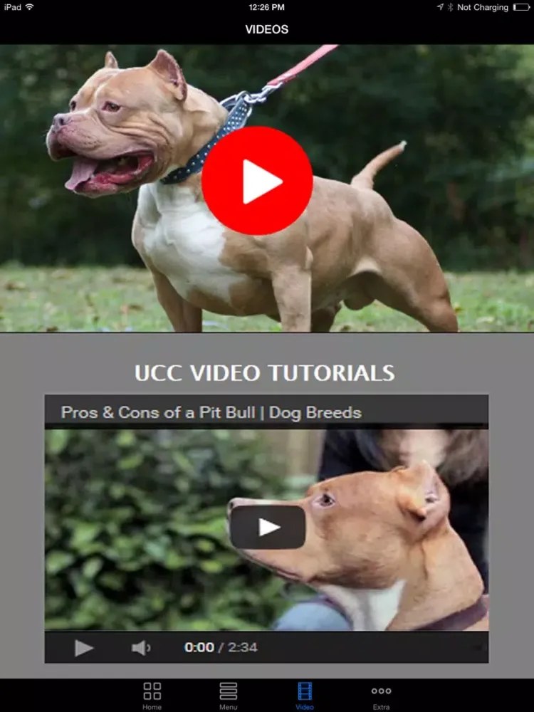My Best Pet is PitBulls - Easy Train Your Bully & Dangerous Pit Bull To Obey Right! iPad  Screenshots