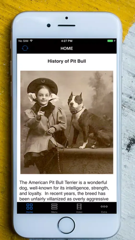 My Best Pet is PitBulls - Easy Train Your Bully & Dangerous Pit Bull To Obey Right! Screenshots