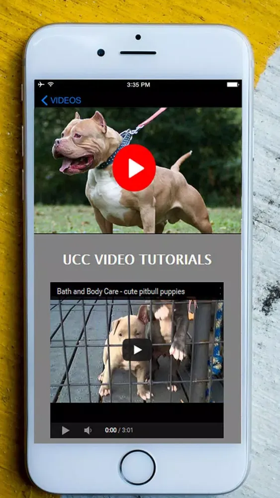 My Best Pet is PitBulls - Easy Train Your Bully & Dangerous Pit Bull To Obey Right! Screenshots