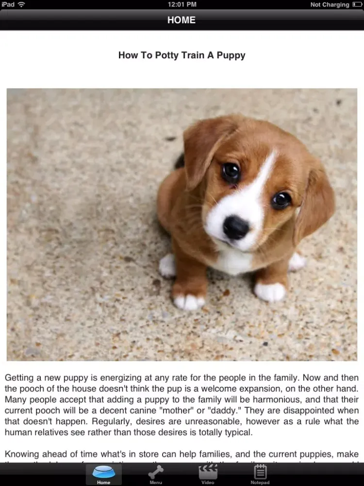 How To Potty Training A Puppy - Complete Guide iPad  Ekran Görüntüleri