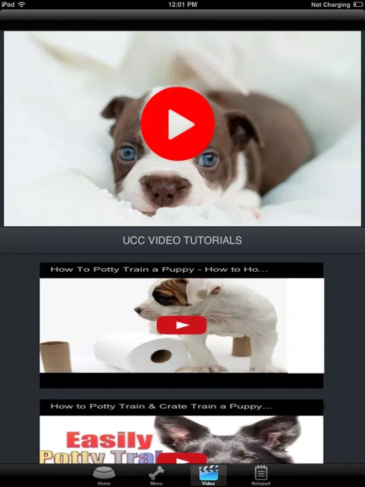 How To Potty Training A Puppy - Complete Guide iPad  Ekran Görüntüleri