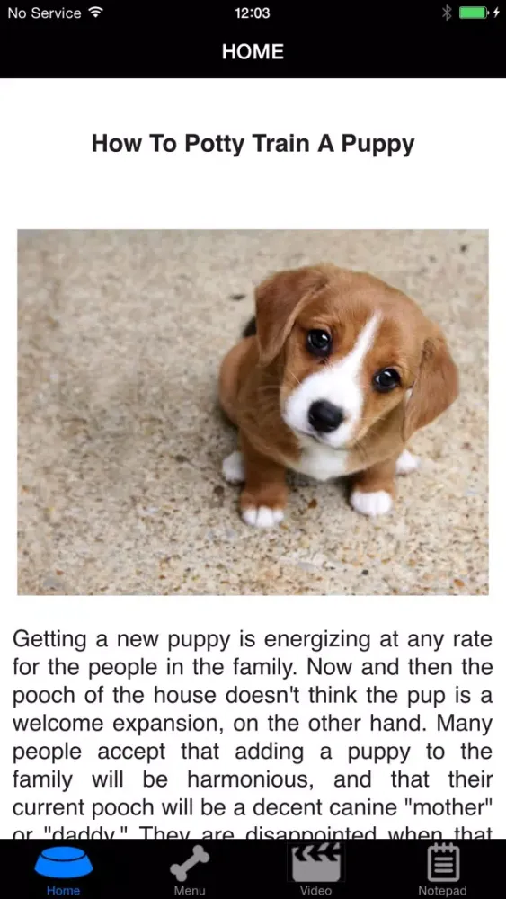 How To Potty Training A Puppy - Complete Guide Ekran Görüntüleri