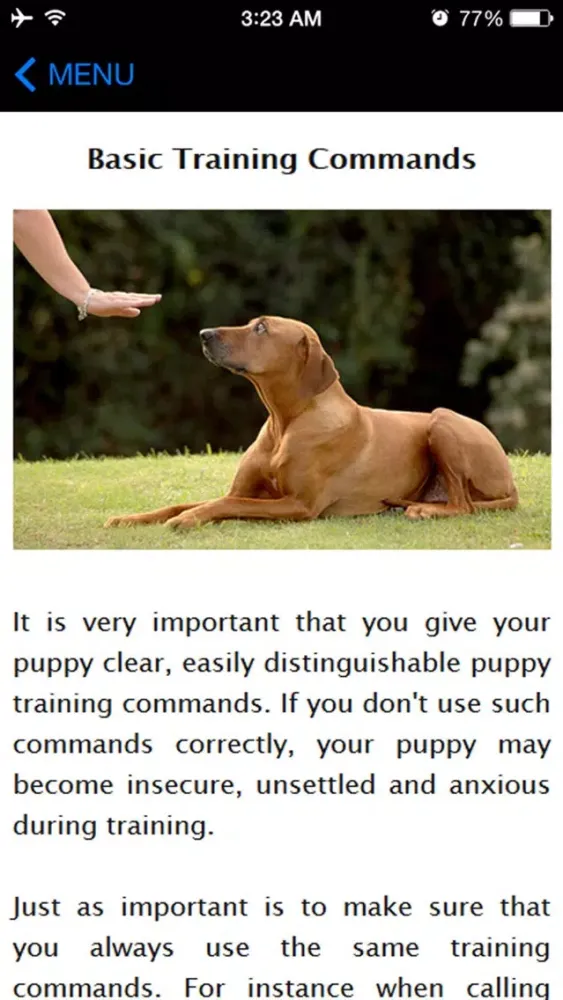 How To Potty Training A Puppy - Complete Guide Ekran Görüntüleri