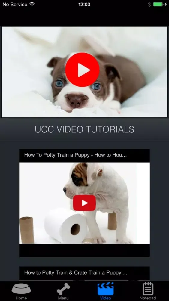 How To Potty Training A Puppy - Complete Guide Ekran Görüntüleri