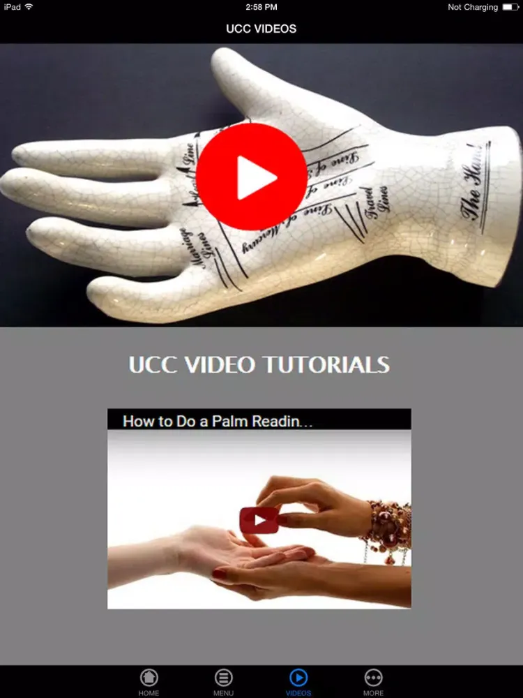 Zrzuty ekranu A+ Palmistry 101 - How To Read Palms For Beginners (Reveal Your Future) iPad 