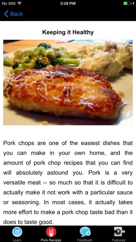 A+ Easy Pork Chop Recipes应用截图
