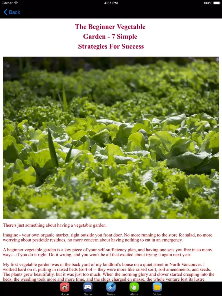 Vegetable Garden Design & Vegetable Gardening Tips iPad  스크린샷
