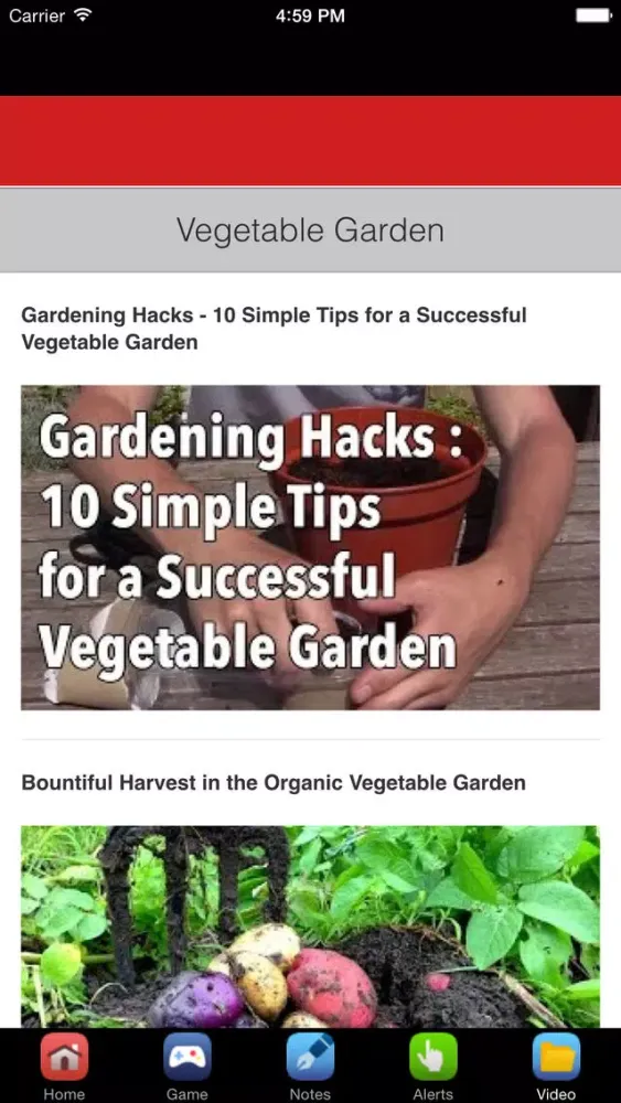 Vegetable Garden Design & Vegetable Gardening Tips 스크린샷