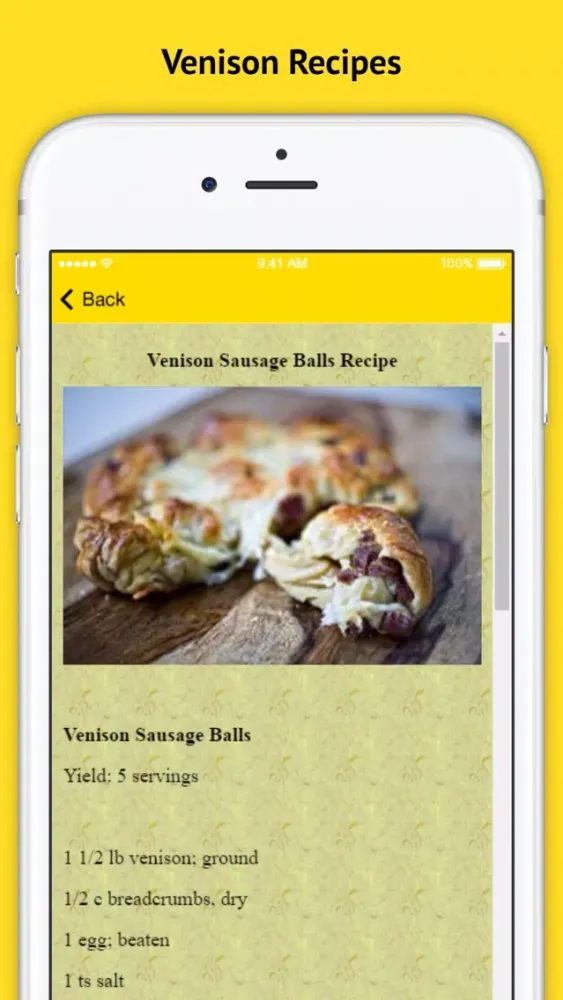 Venison Recipes - Hunters Love This Delicious Recipe Screenshots