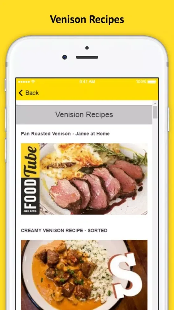 Venison Recipes - Hunters Love This Delicious Recipe Screenshots