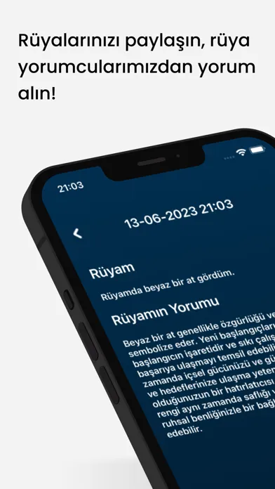 Rüya Taşı应用截图