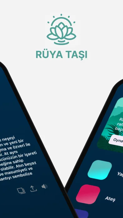 Rüya Taşı应用截图