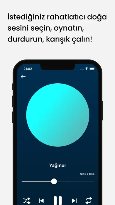 Rüya Taşı应用截图