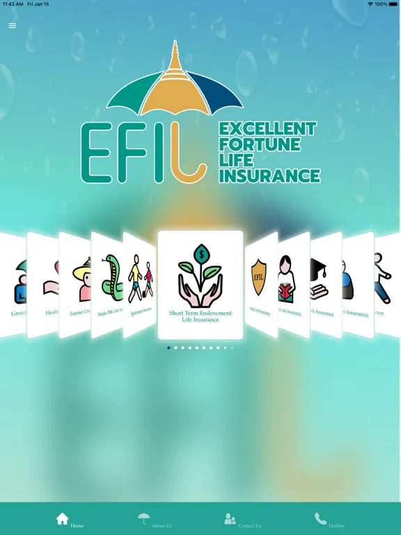 صور EFI Life Insurance iPad 