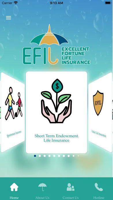 صور EFI Life Insurance
