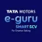 eGuru SCV