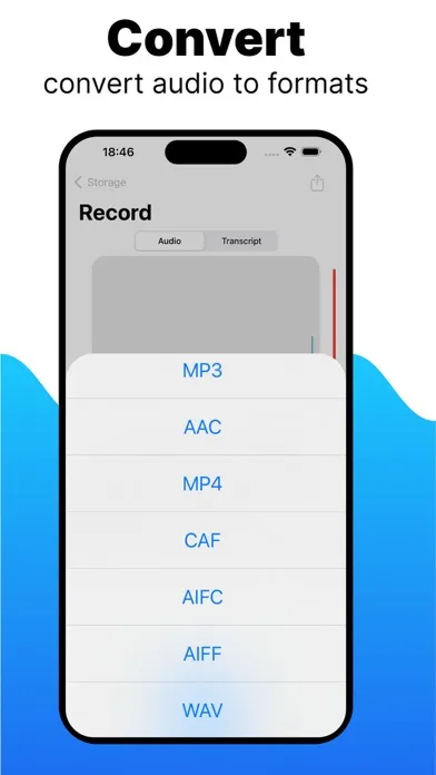 Voice Memos App Screenshots