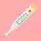 Body Temperature Recorder