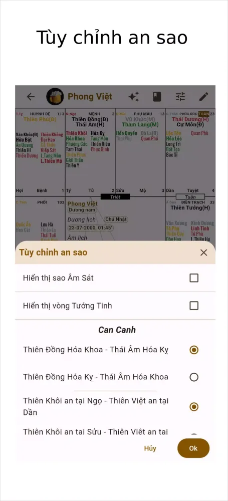 Tangkapan layar Lập Lá Số Tử Vi