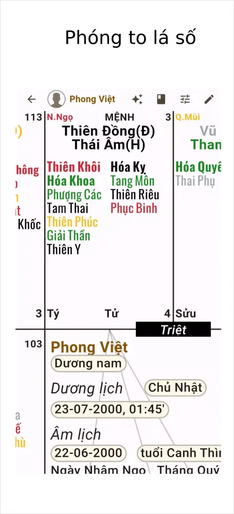 Tangkapan layar Lập Lá Số Tử Vi