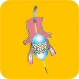 TAVR-30