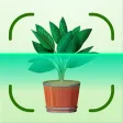 AI Plant Identifier: SnapFlora AI Plant Identifier: SnapFlora