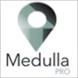 Medulla BOM Medulla BOM