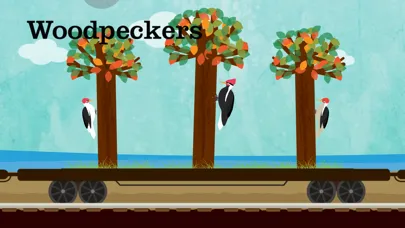 Zrzuty ekranu Peek-a-Zoo Train