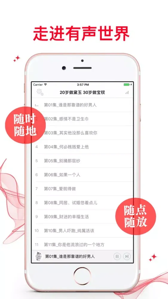 Tangkapan layar [有声]20岁做黛玉 30岁做宝钗-非听不可