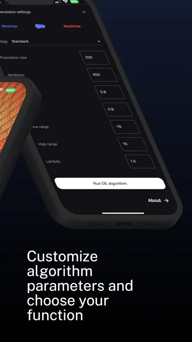 Screenshot di Differential Evolution