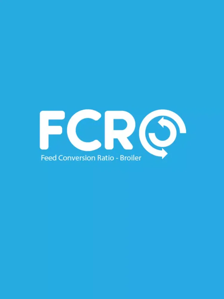 Скриншоты FCR iPad 