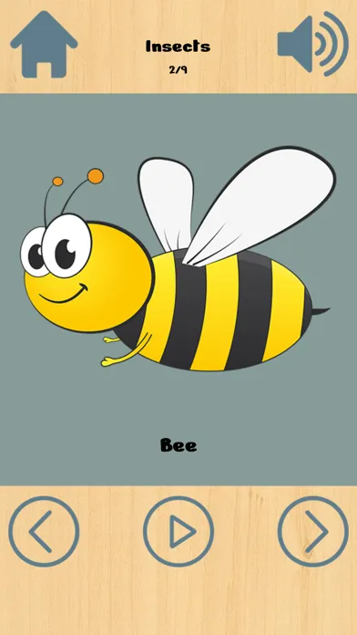 Ảnh chụp màn hình của English Words Vocabulary
