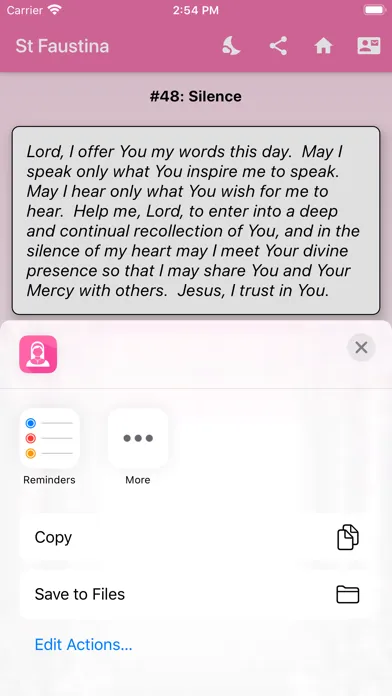 Reflections on Divine Mercy Ekran Görüntüleri