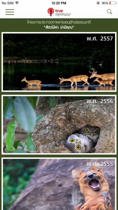 True Photo Contest স্ক্রিনশট