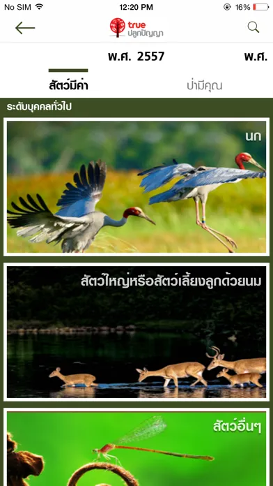 True Photo Contest স্ক্রিনশট